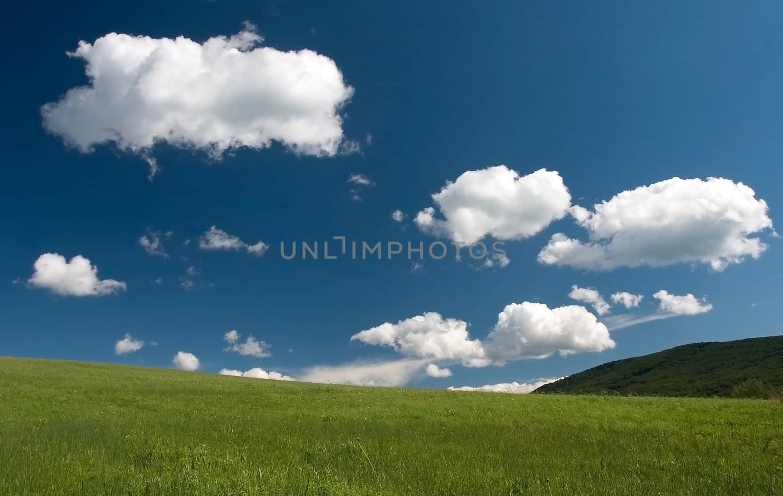 Beautiful european summer landscape with white clouds