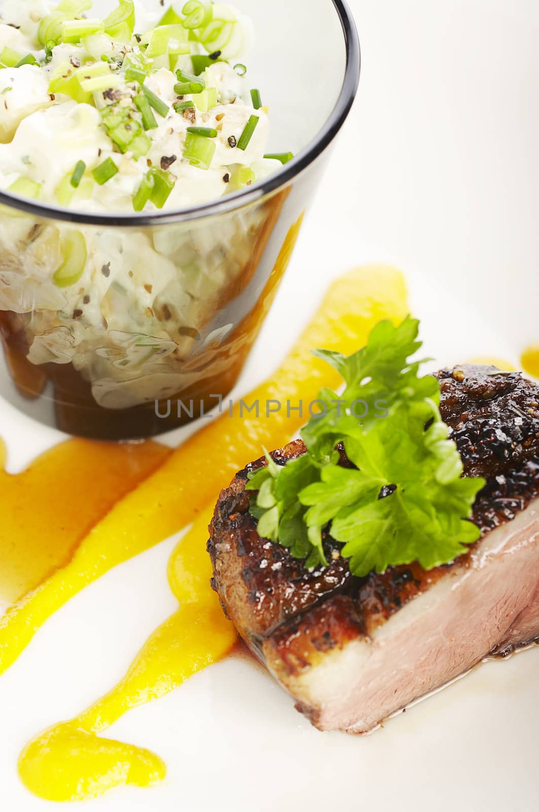 Duck fillet and carrot mousse on the plate with side dish