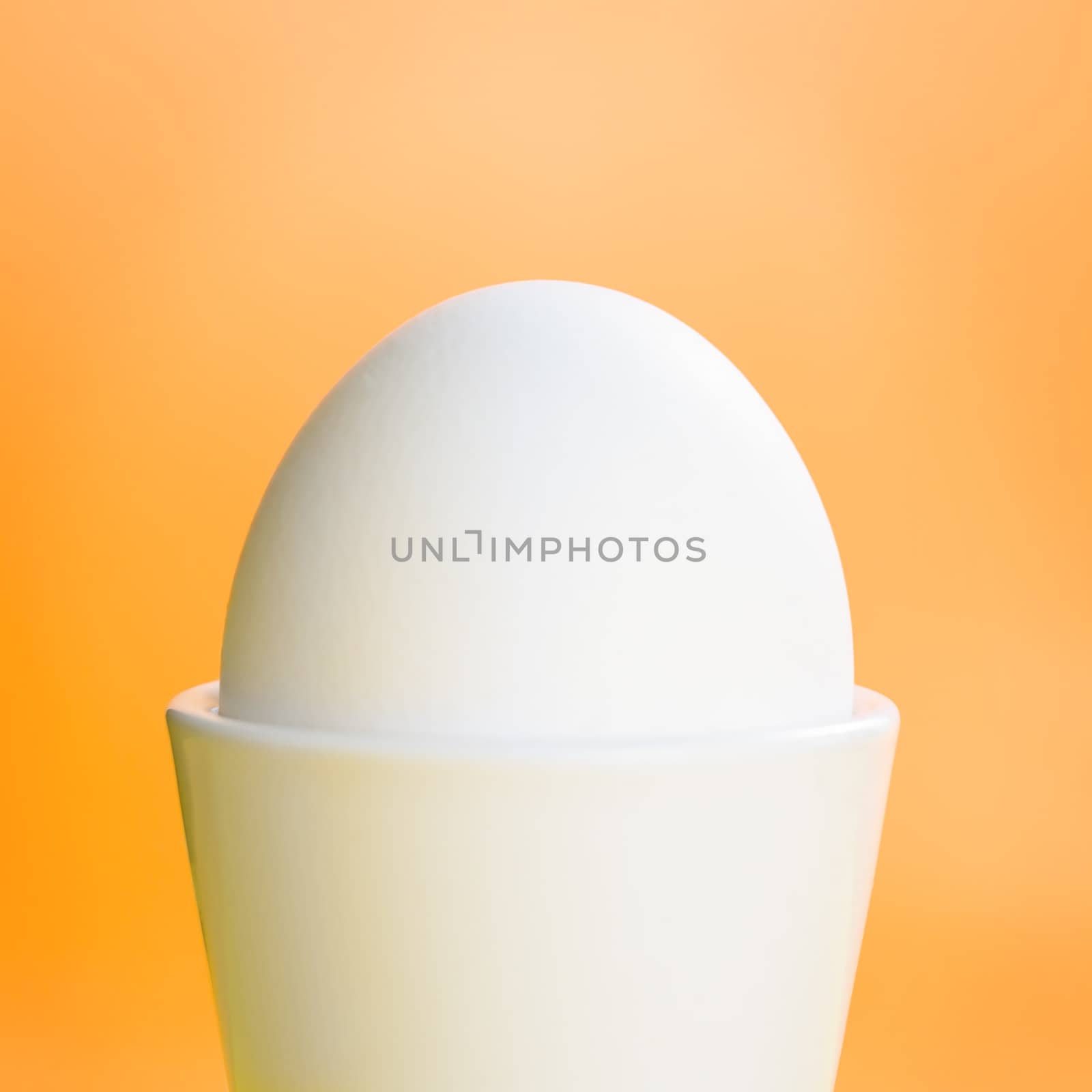 Boiled egg standing on the orange background