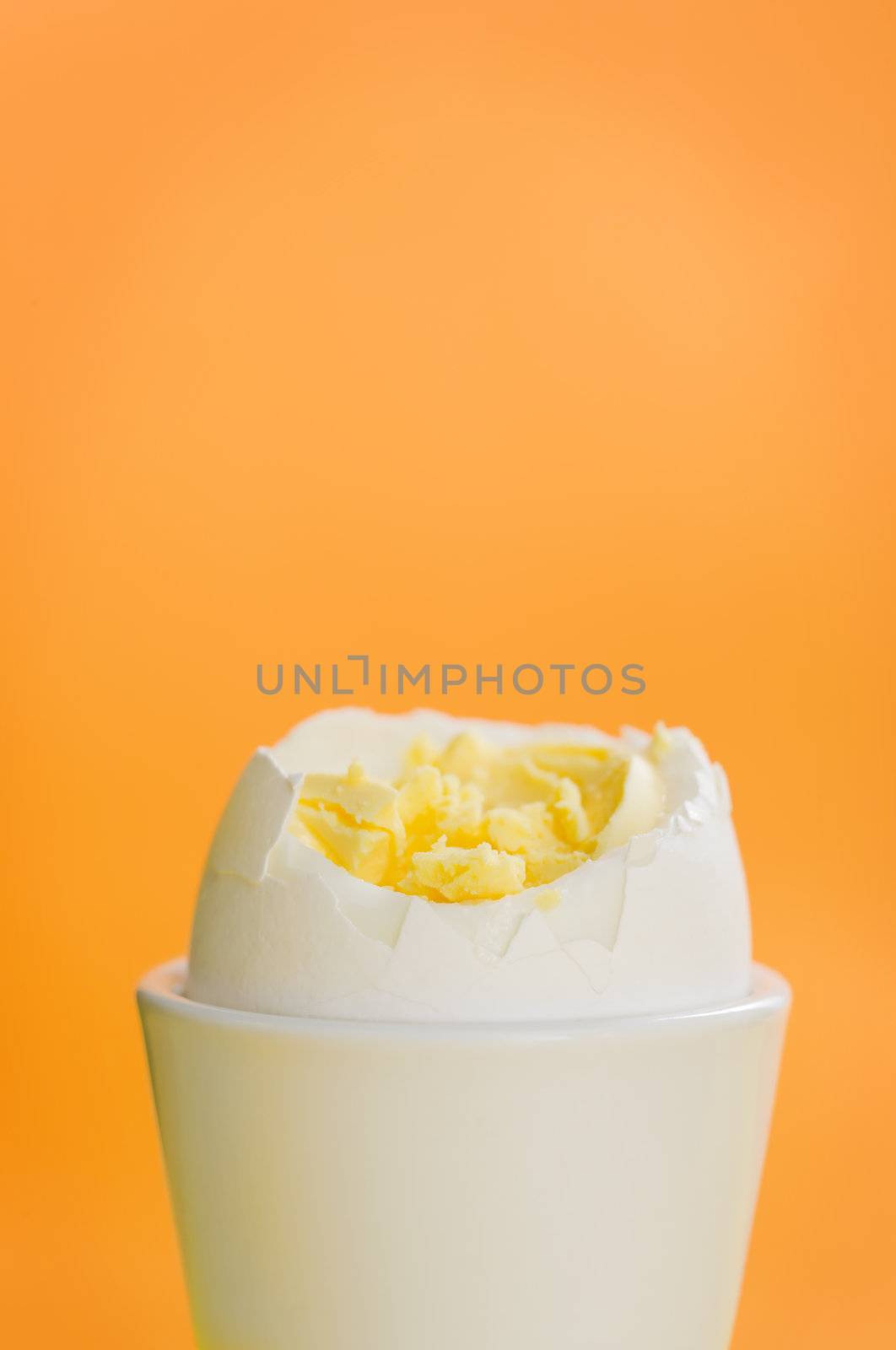 Boiled egg standing on the orange background