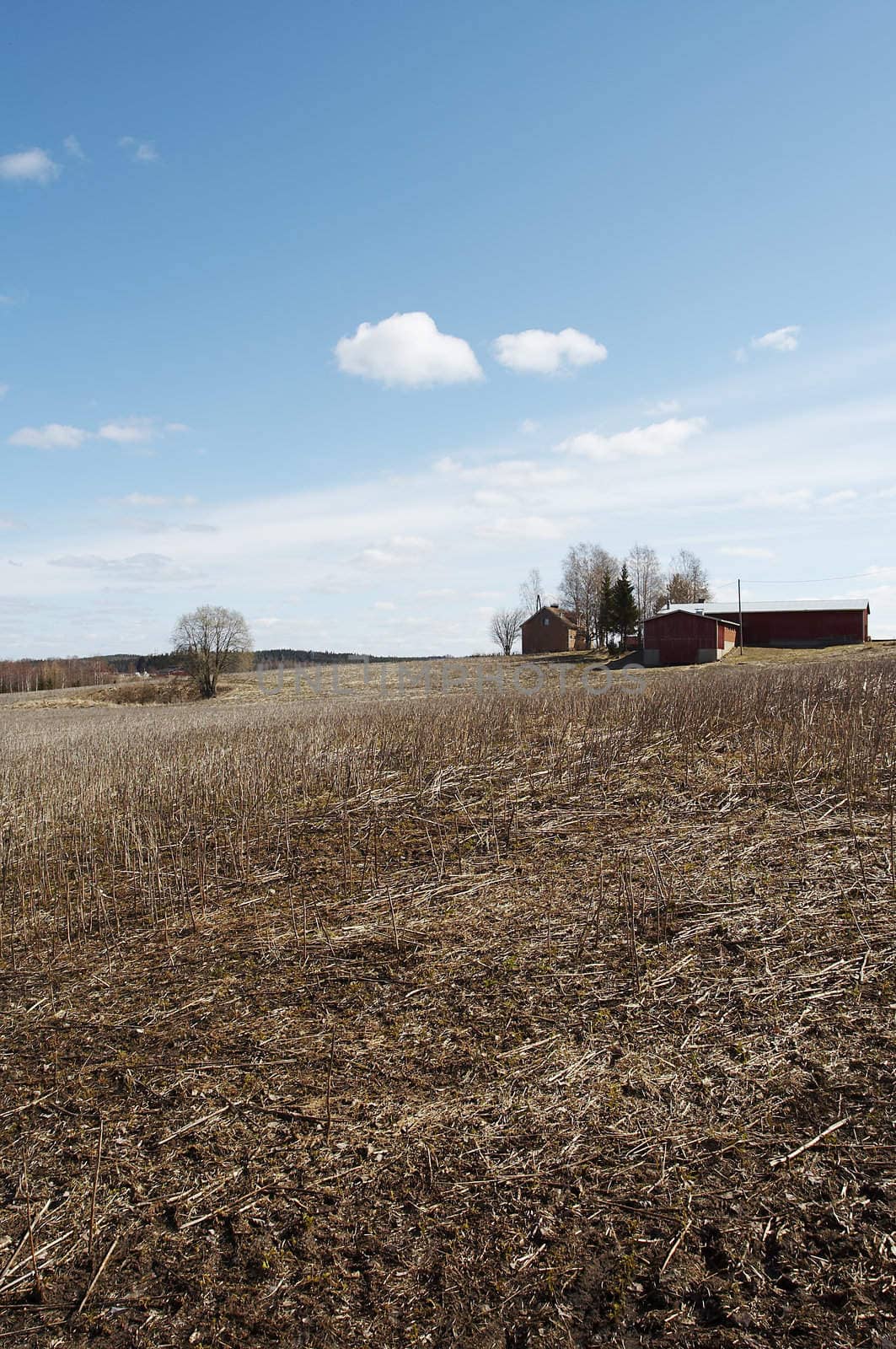 Farm on the hill on early spring