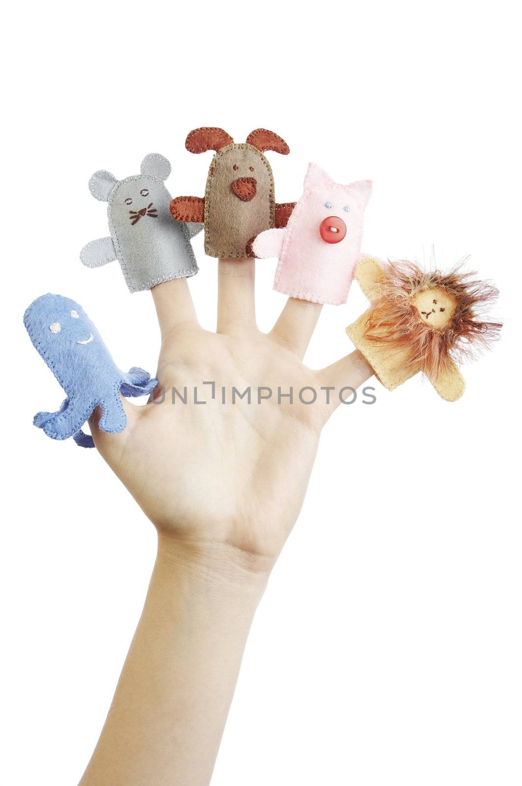 Girl's hand with animal finger puppets (pig, lion, mouse, octopussy, dog)