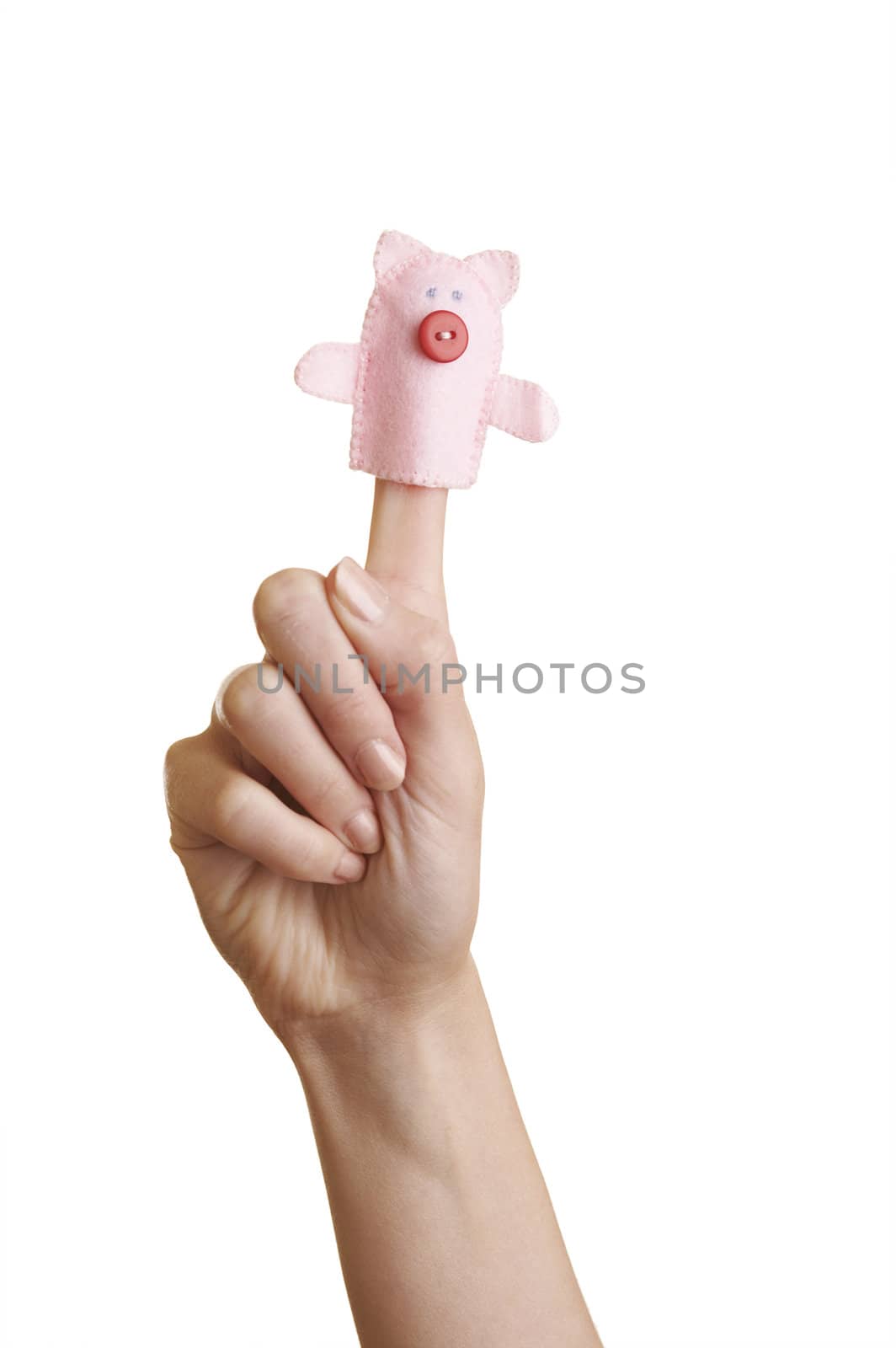 Isolated girl's hand with finger puppet (farm animal: pig)