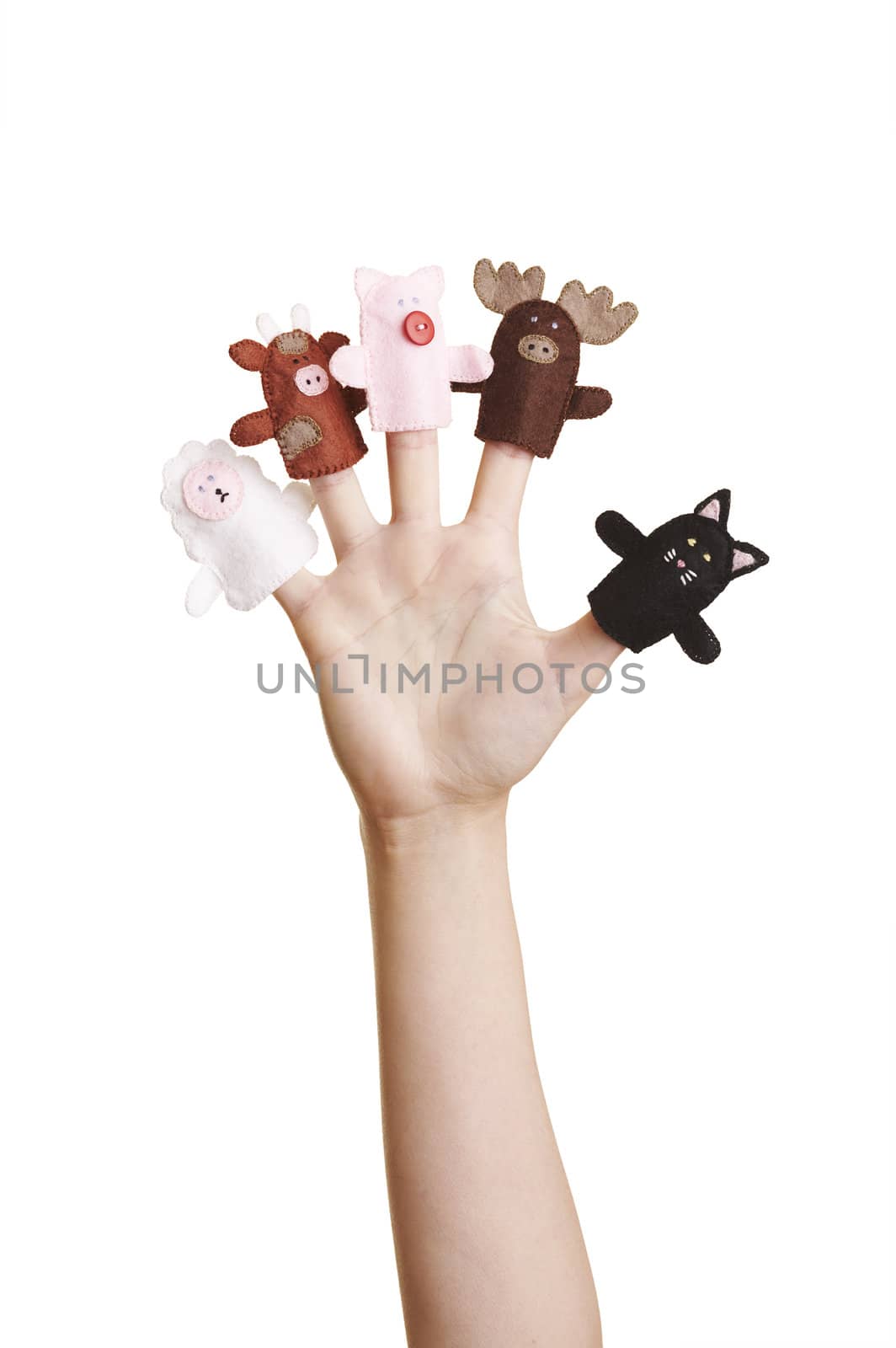 Girl's hand with animal finger puppets (cat, sheep, cow, pig and moose)