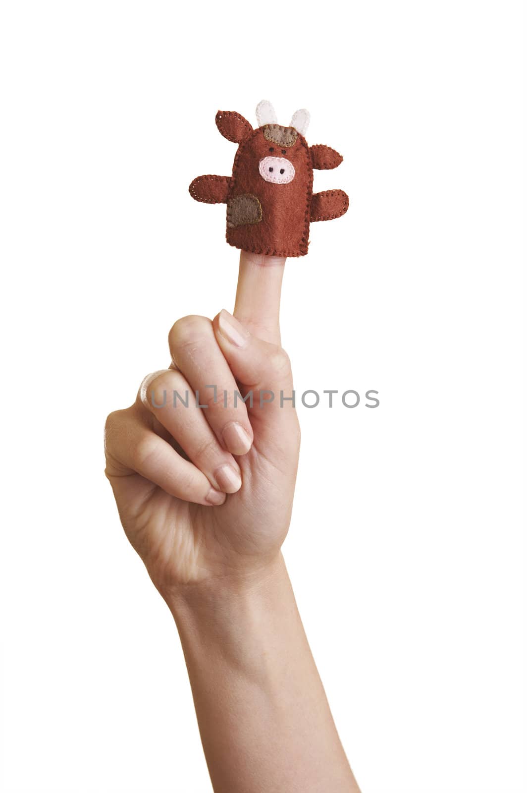 Isolated girl's hand with finger puppet (farm animal: cow)