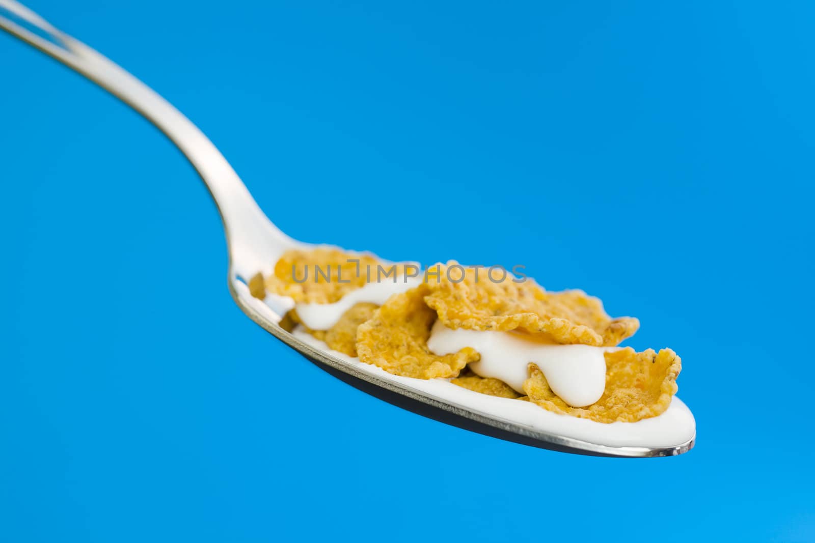 Corn flakes on the spoon by mjp