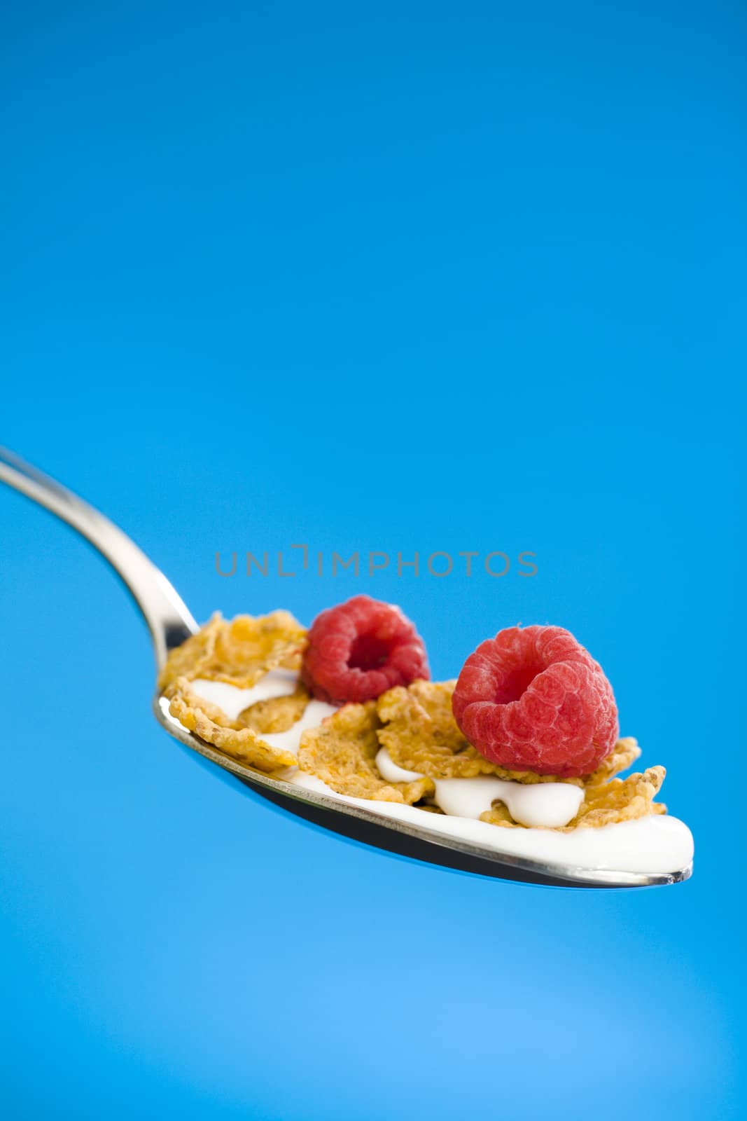 Corn flakes on the spoon with milk over a blue background