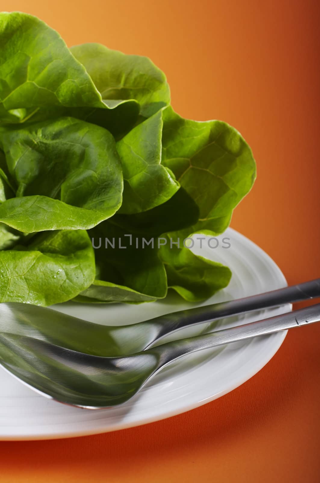 Salad plate with big fork and spoon on orange table