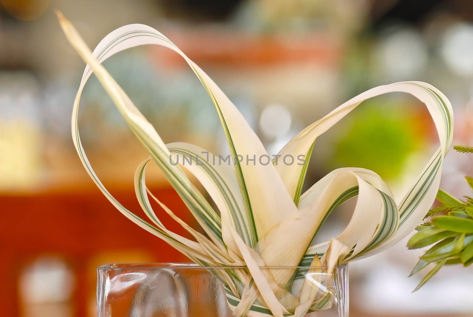 Protea leaves tied as ribbons as decorations on table
