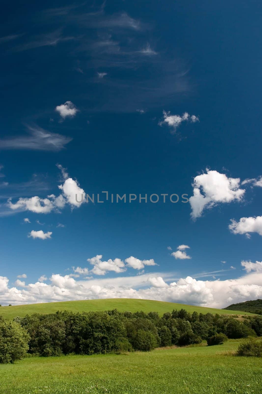 Summer  landscape with cumulus and green meadows