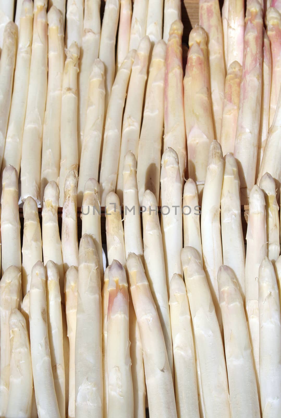 White asparagus displayed at the sunny outside of a grocery store.