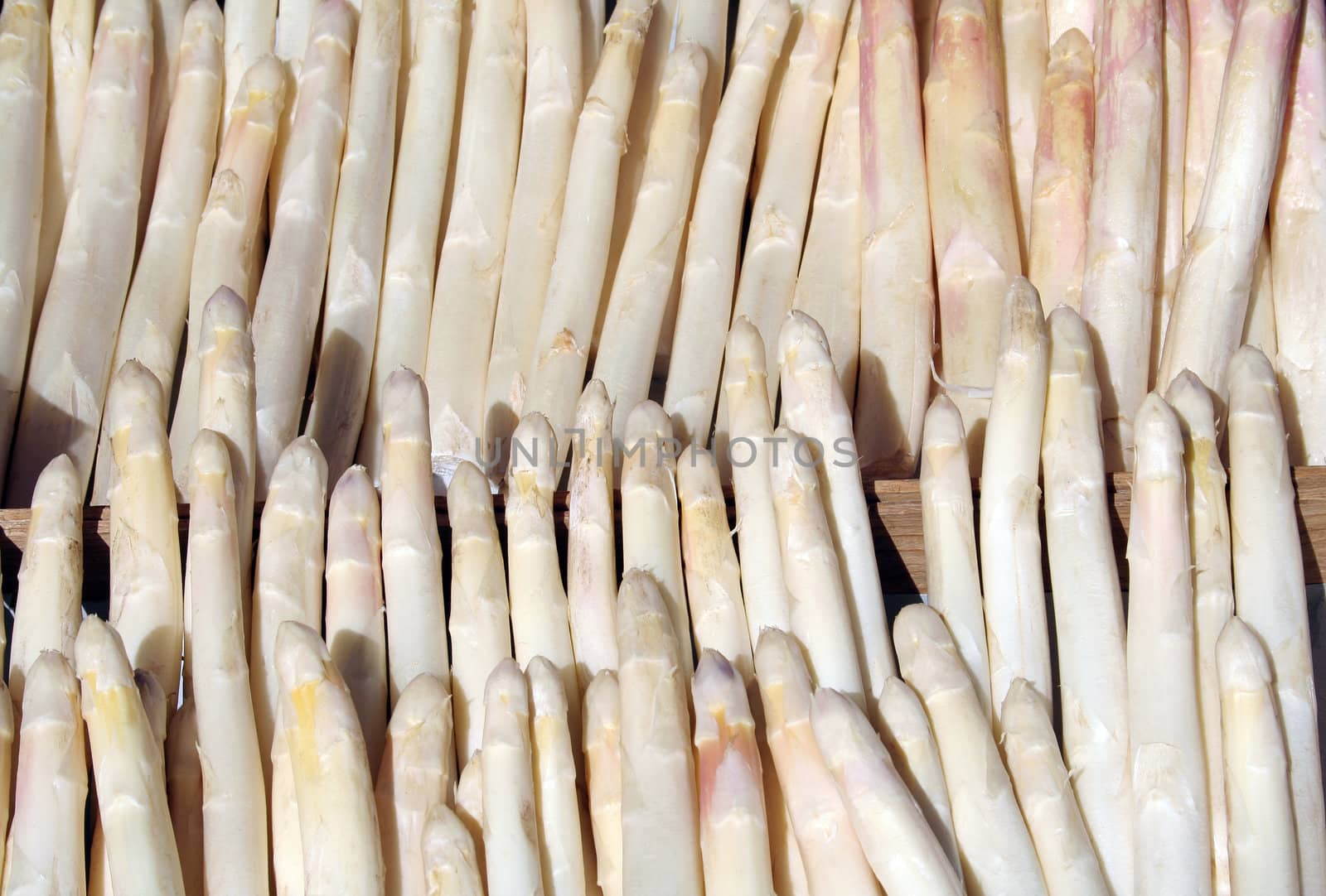 White asparagus displayed at the sunny outside of a grocery store.