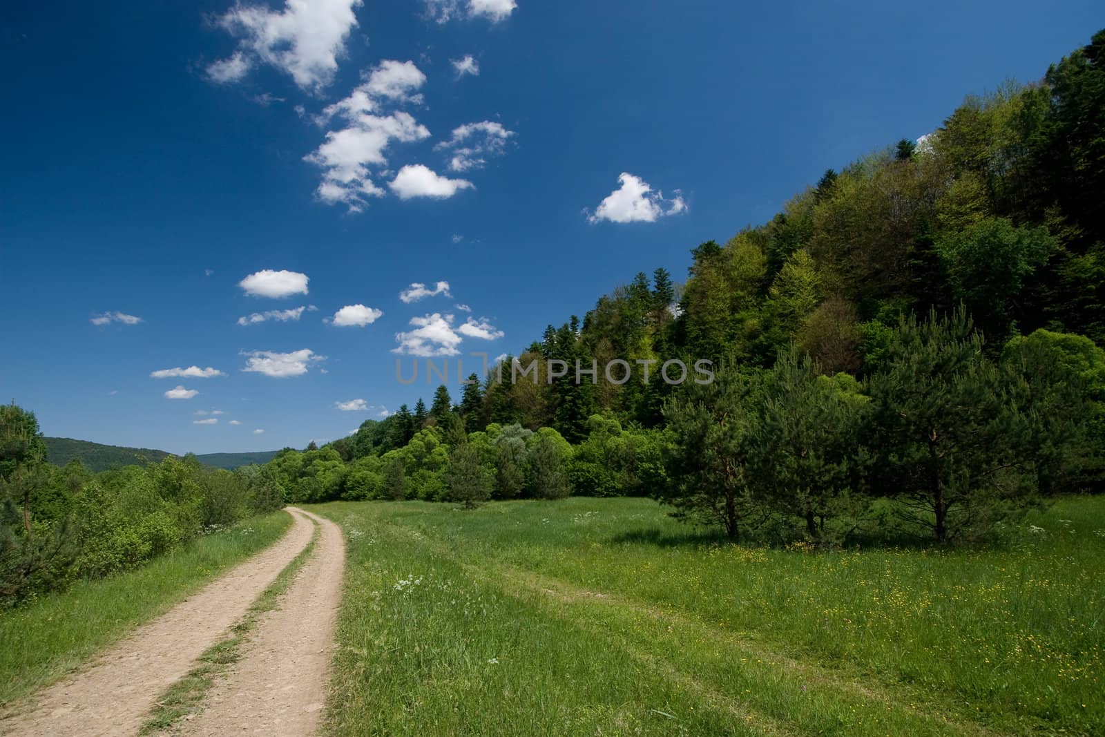 Countryside road in the forest with white clouds