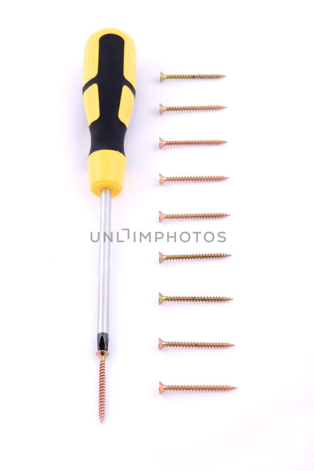 isolated screwdriver with many screws in line 