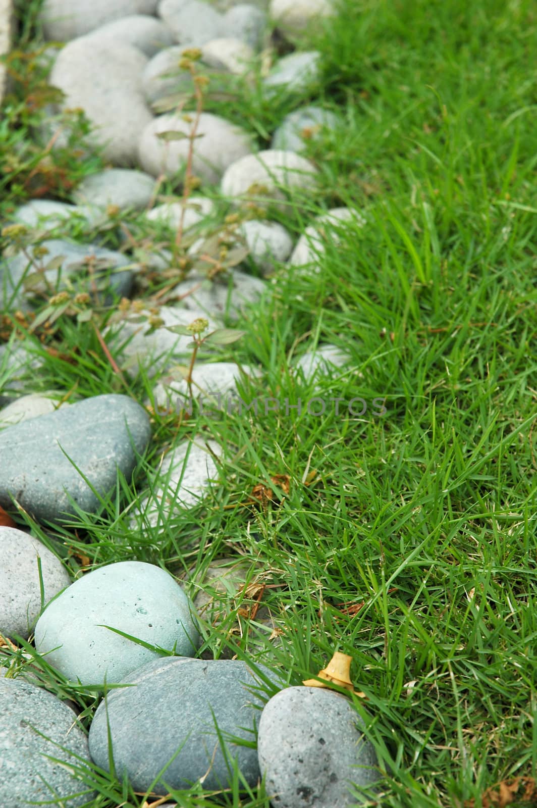 Little small stones / rocks with green grass