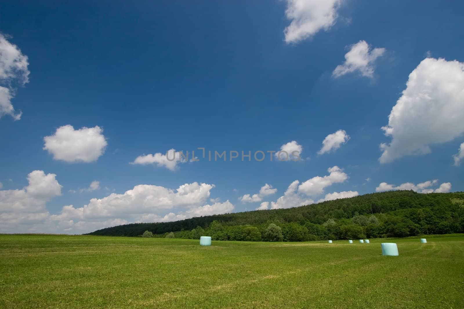 Hay Bale Landscape with blue sky and cumulus clouds