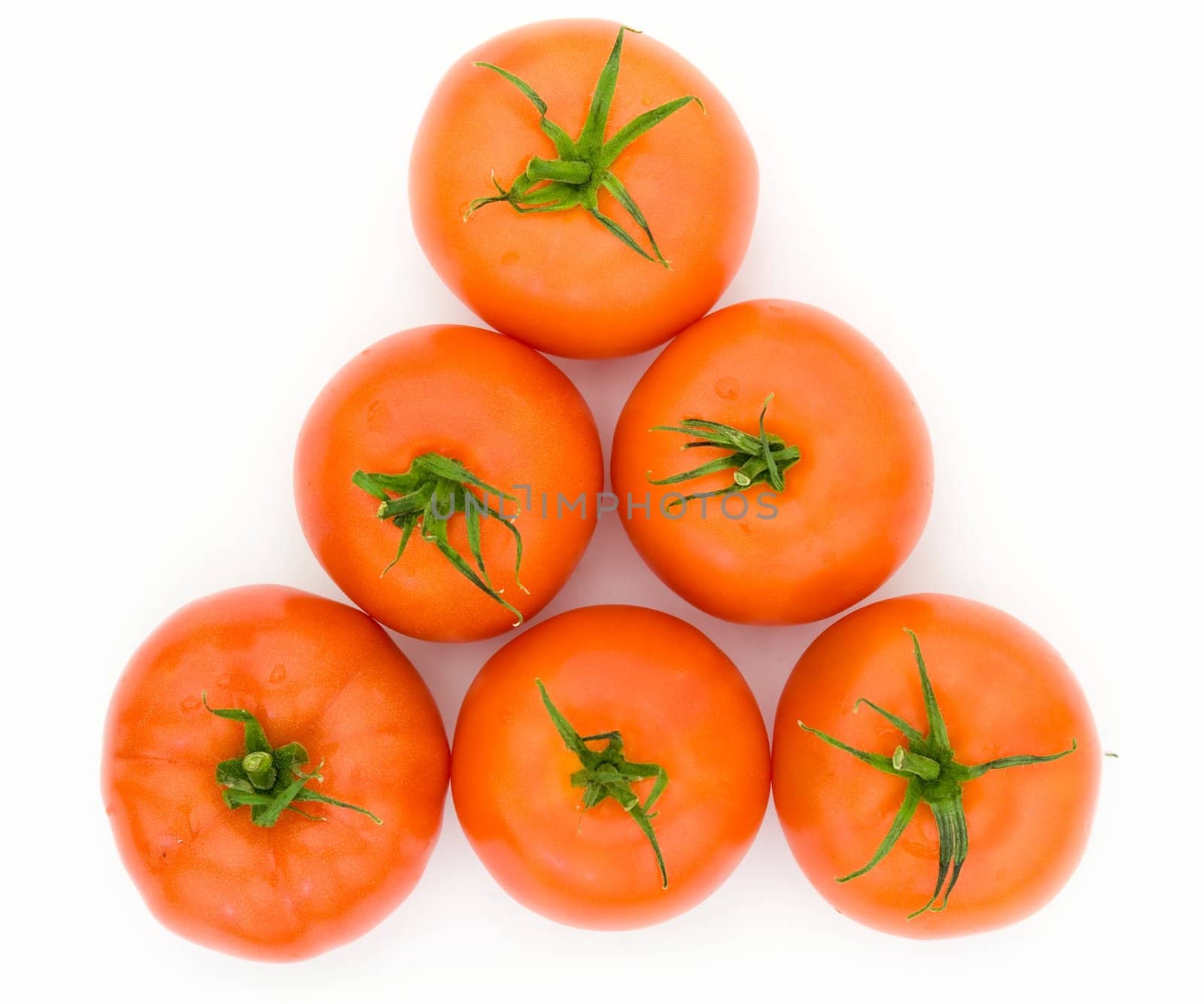 fresh red tomatoes on a white background