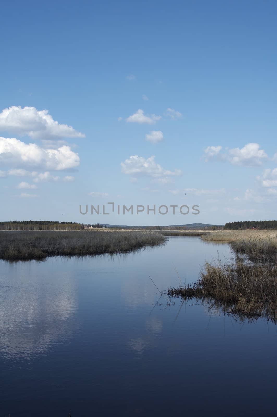 Spring lake landscape from eastern Finland