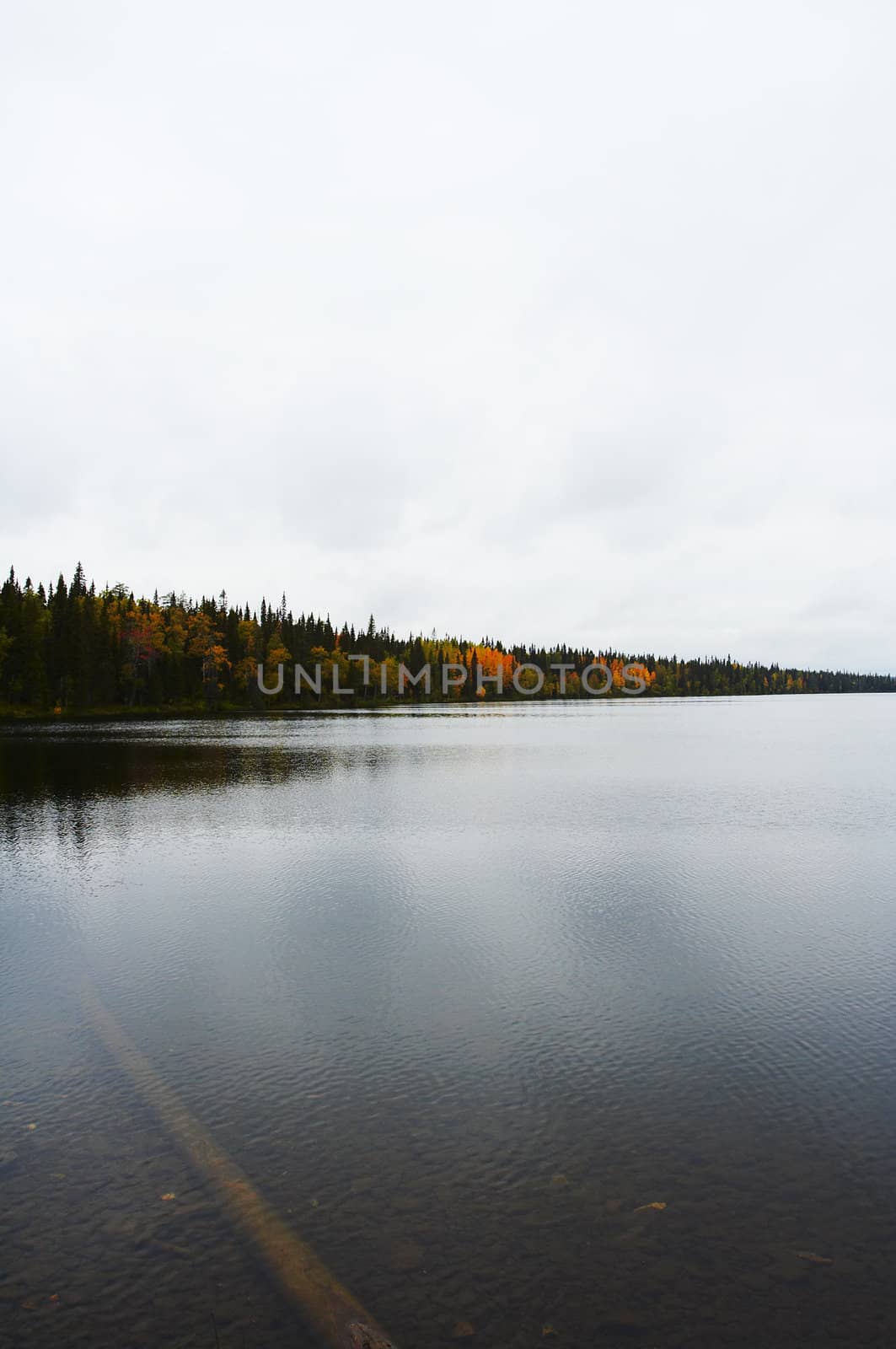Autumn landscape from Lapland, Finland