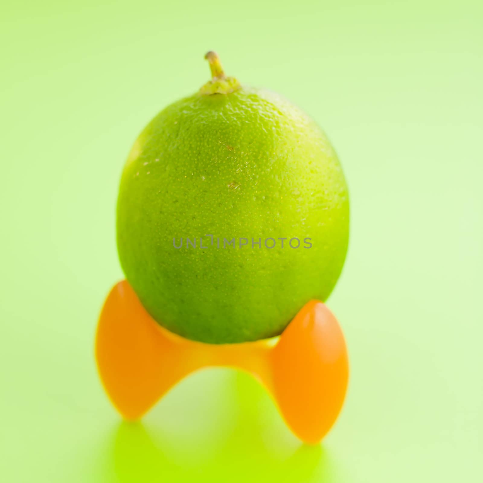 Lime top of the modern egg vase on the green background