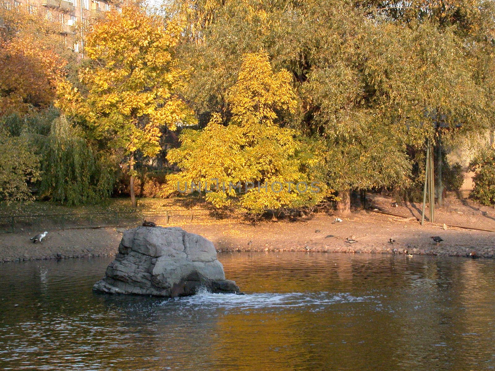 The autumn, river, sheet