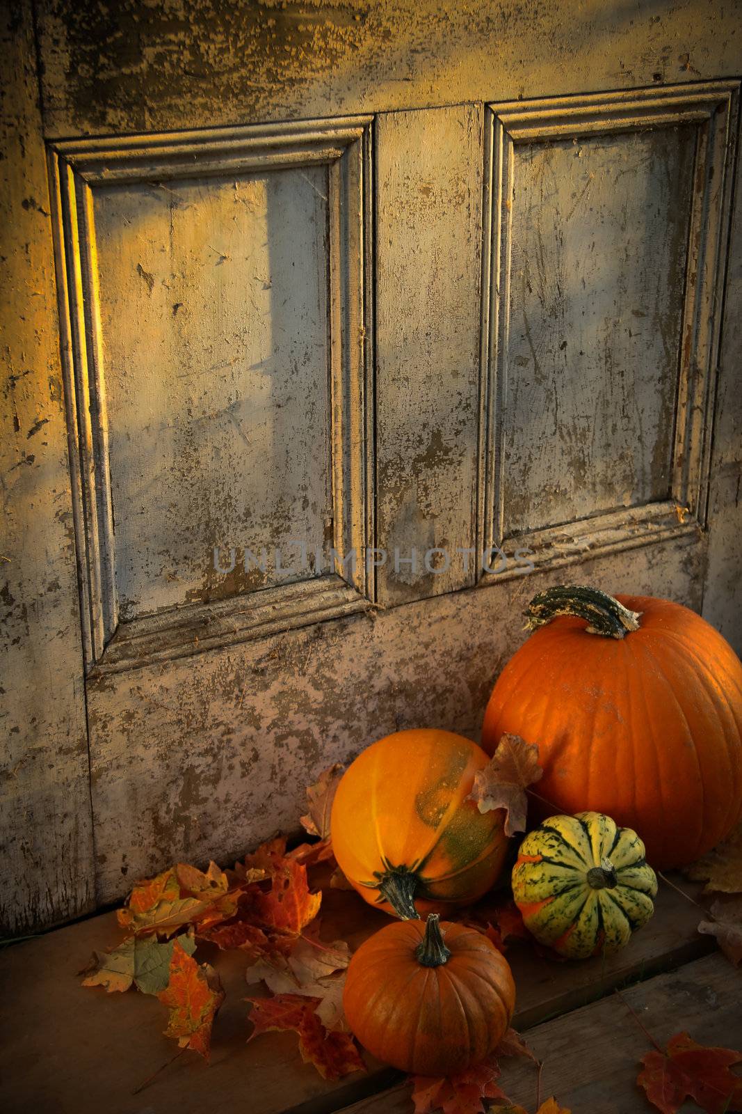 Pumpkins, broom and gourds at the door  by Sandralise