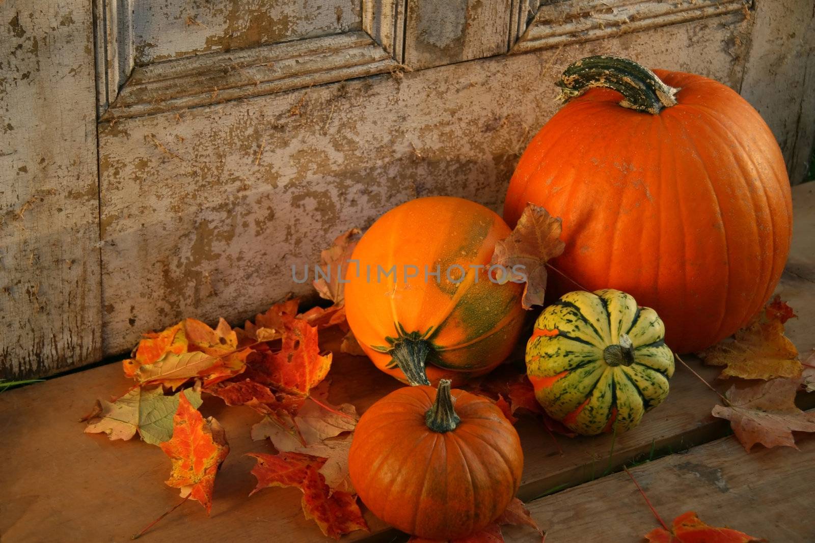 Pumpkins and gourds at the door ready for halloween