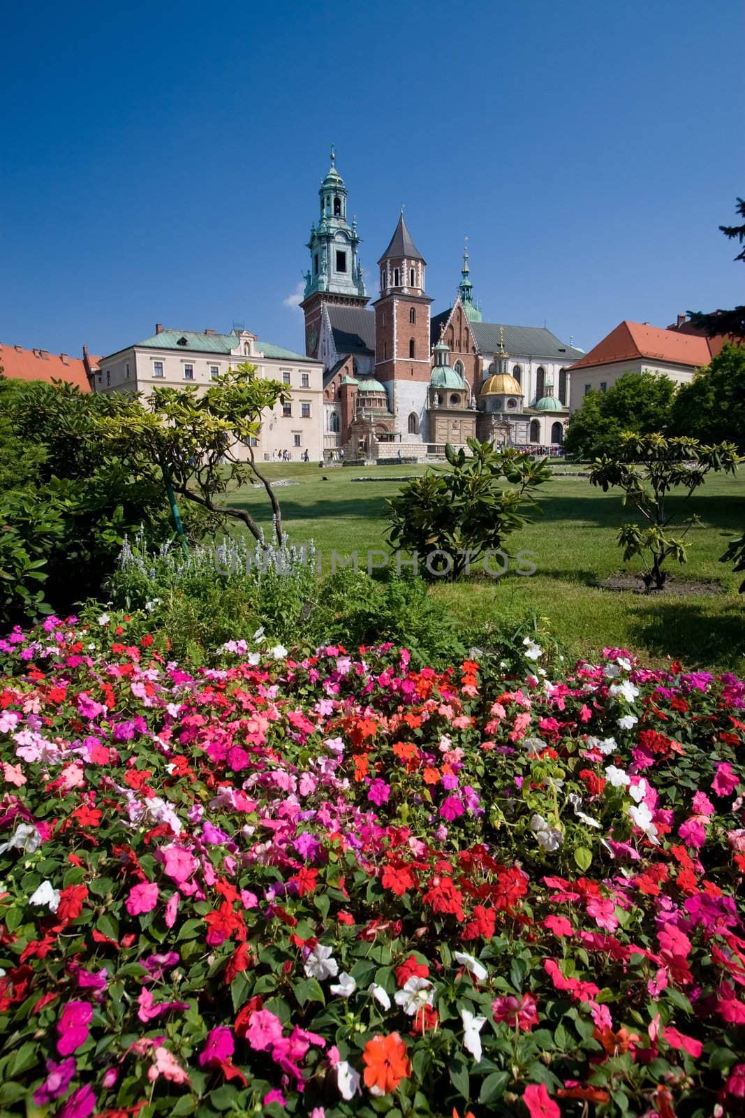 Beautiful summer view of medieval wawel castle in Cracow, Poland