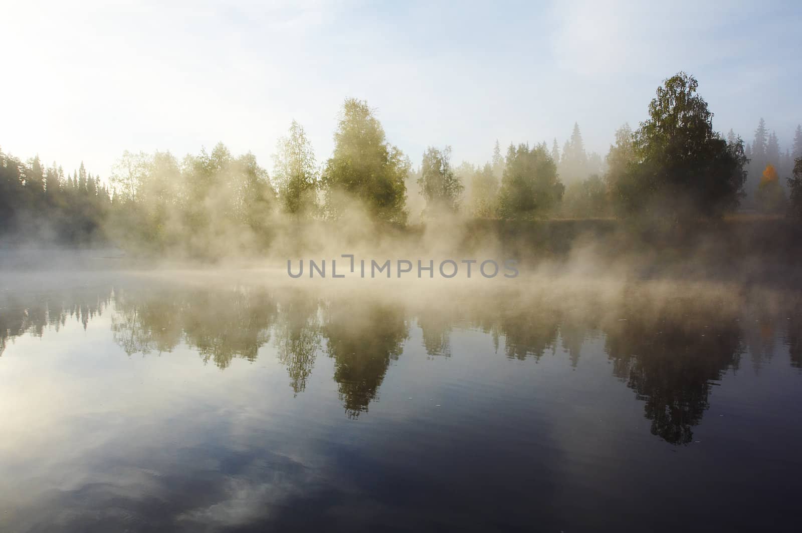 Morning mist along the river