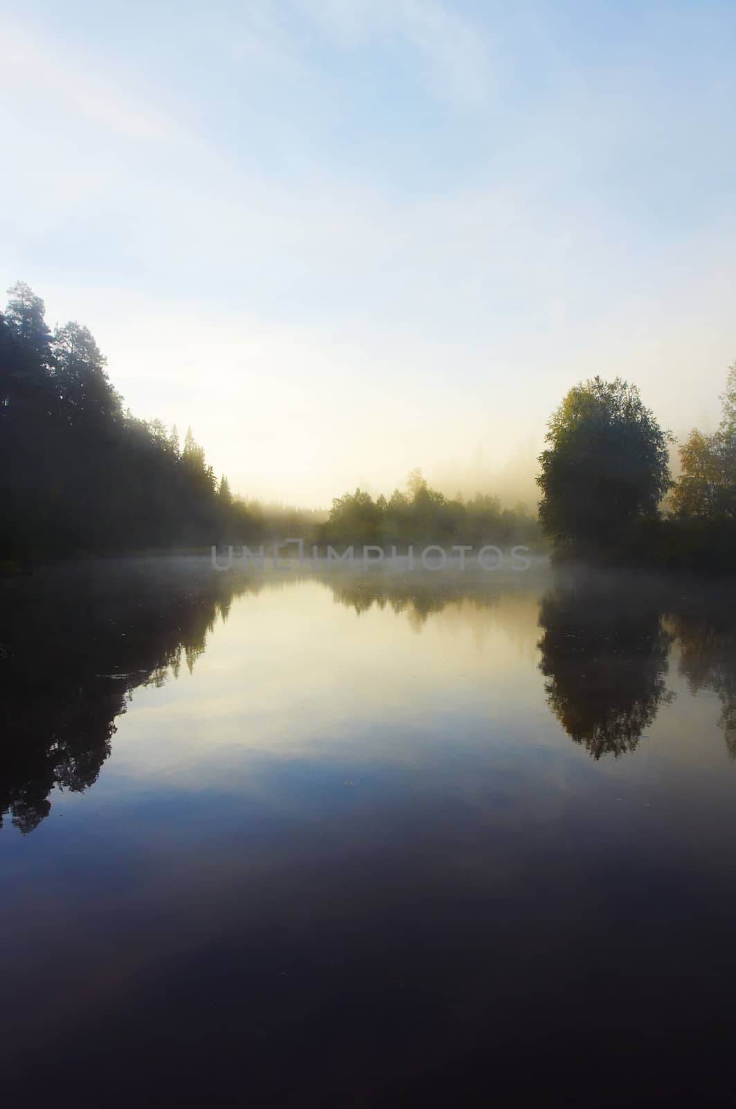 Morning mist along the river