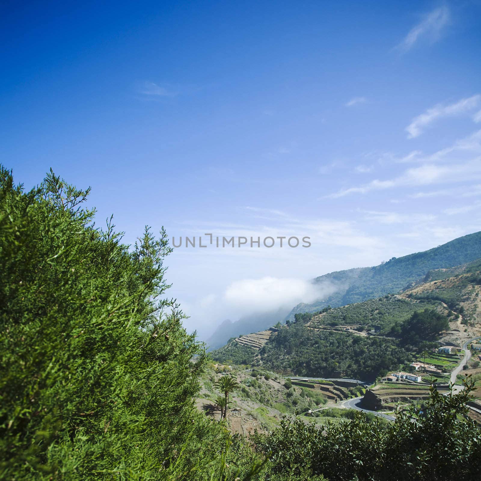 Mountain landscape shot from gomera island 