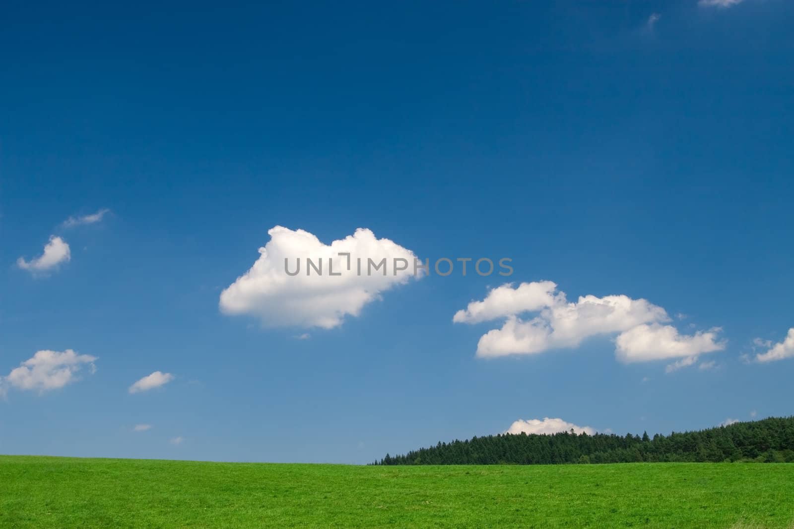 Green field and blue sky with cumulus clouds