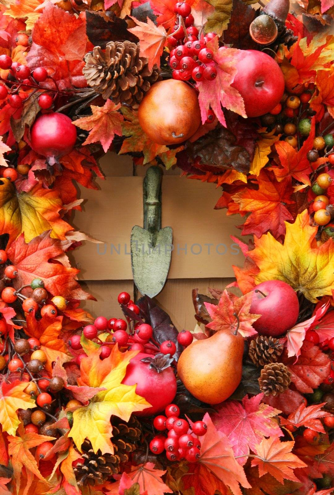 Festive autumn wreath on rustic door
