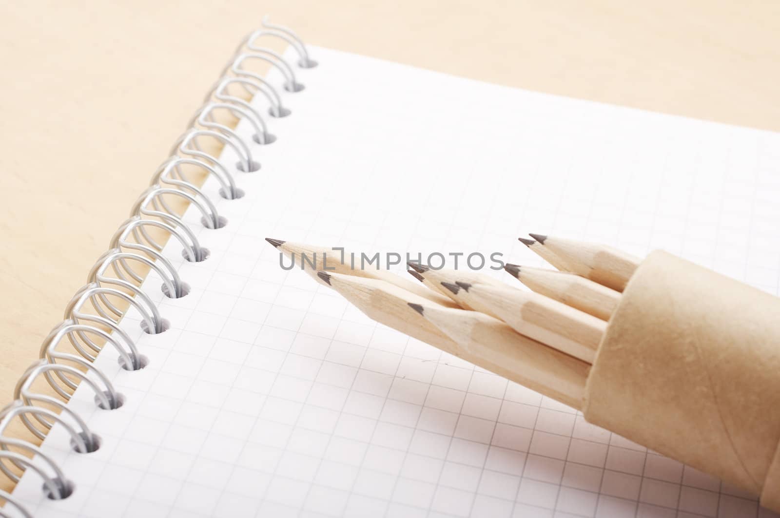 Pack of pencils over a checkered notebook page