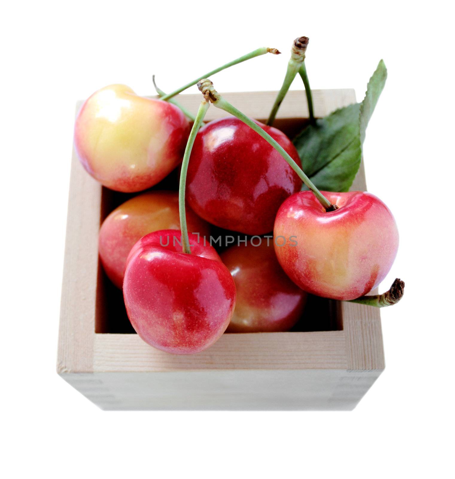 Rainier cherries in a sake cup isolated on white