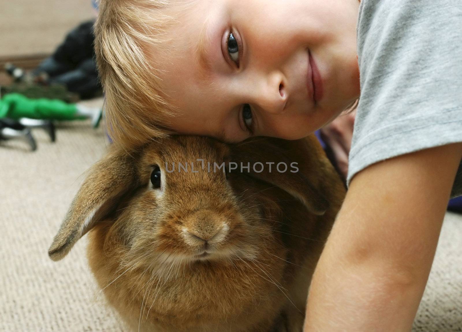 The boy plays with the rabbit