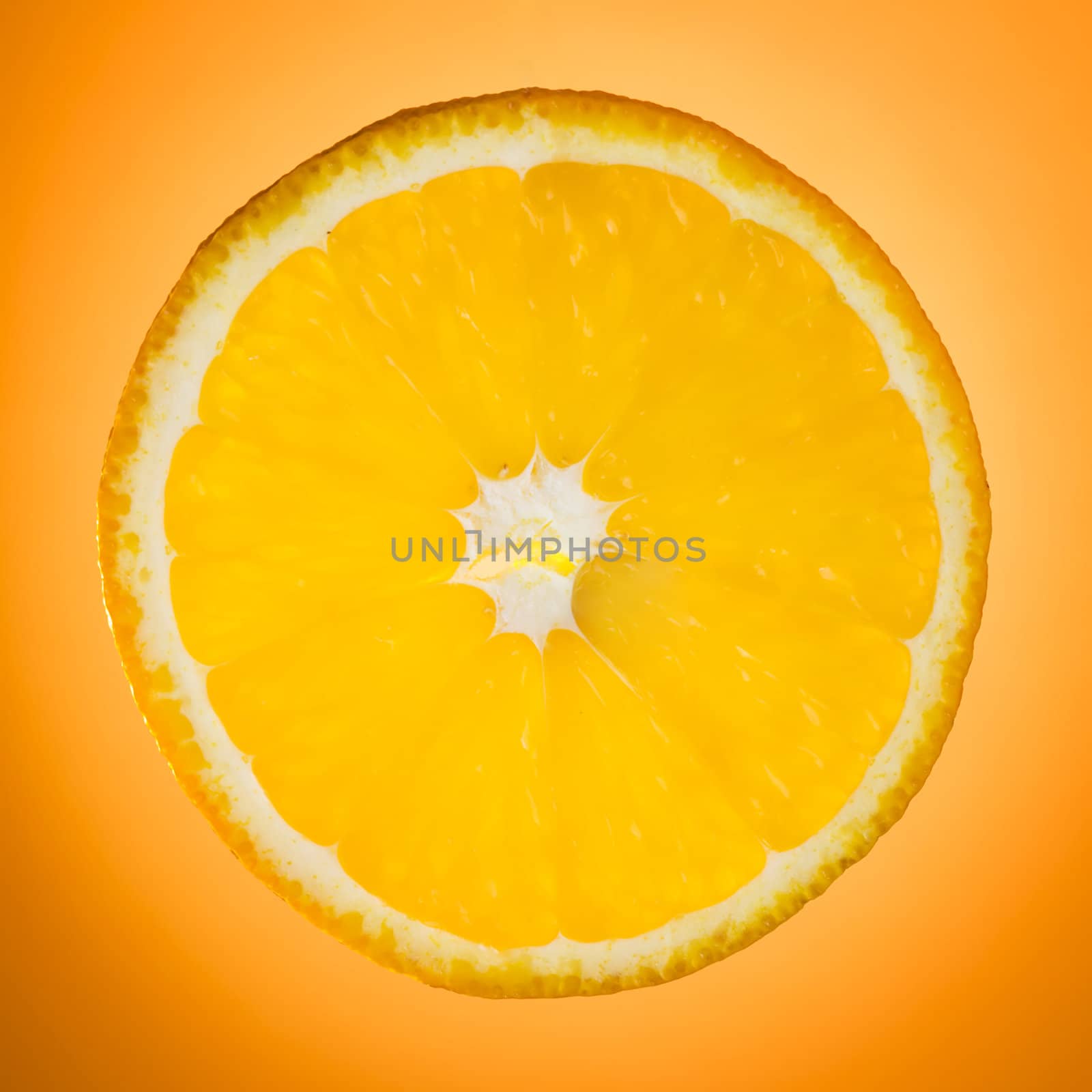 backlit orange slice over the graduated orange background