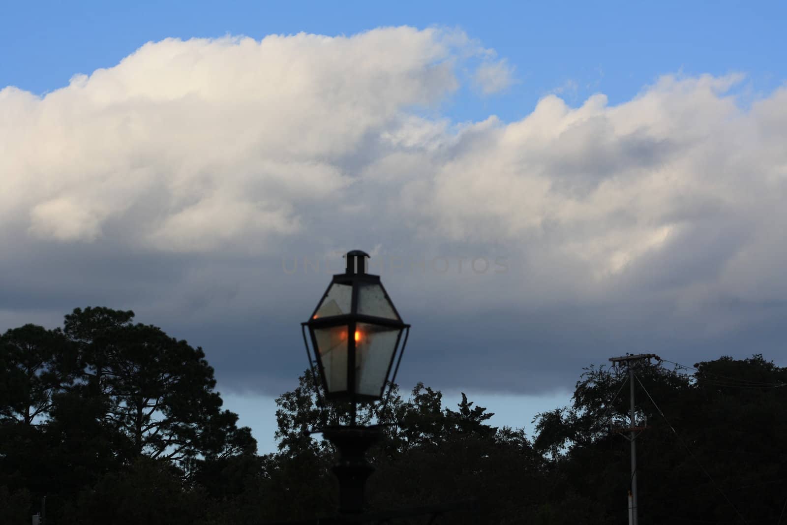 Street lamp with cloudy sky and trees in the background