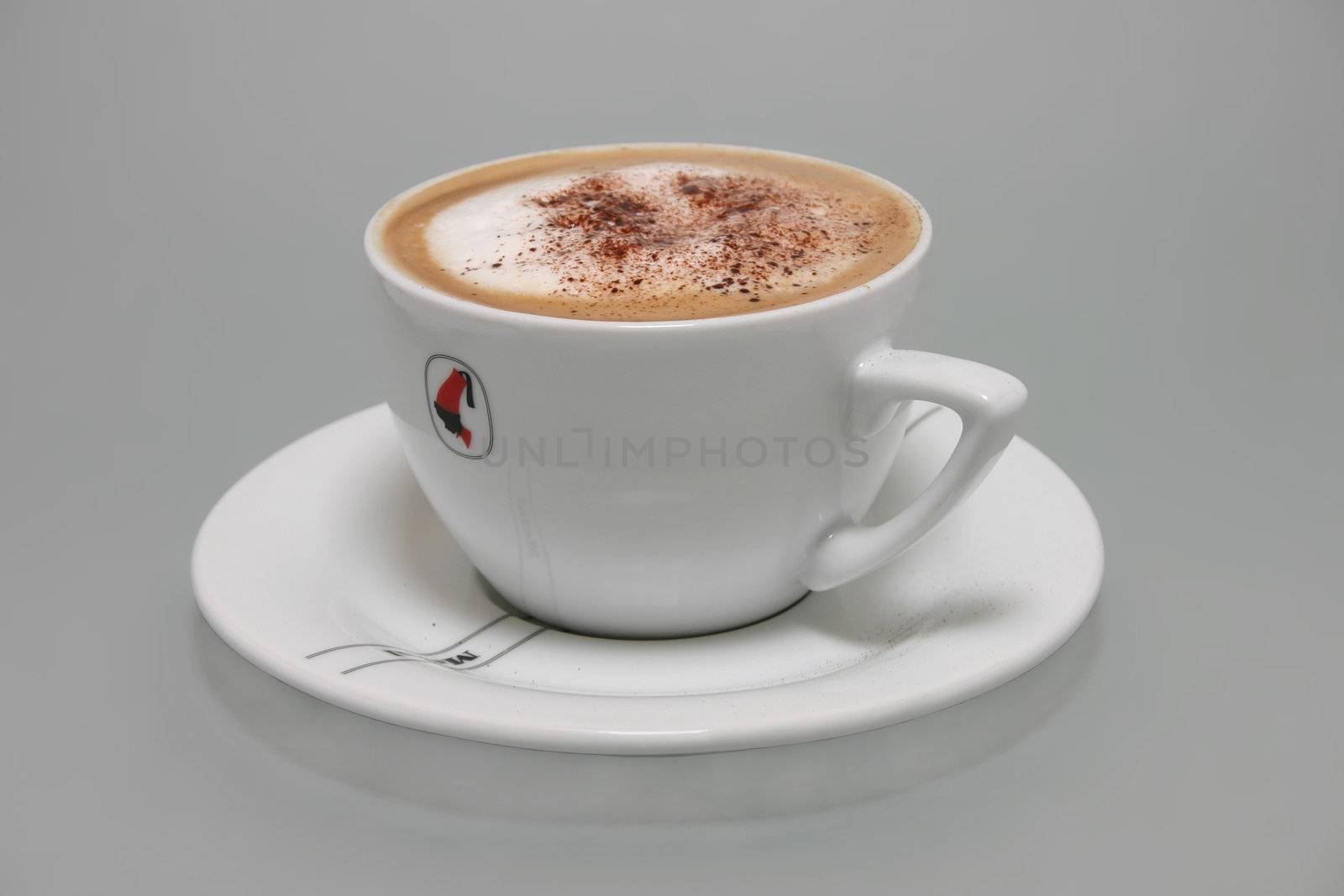 Cappucino with cinnamon and chocolate in white cup.