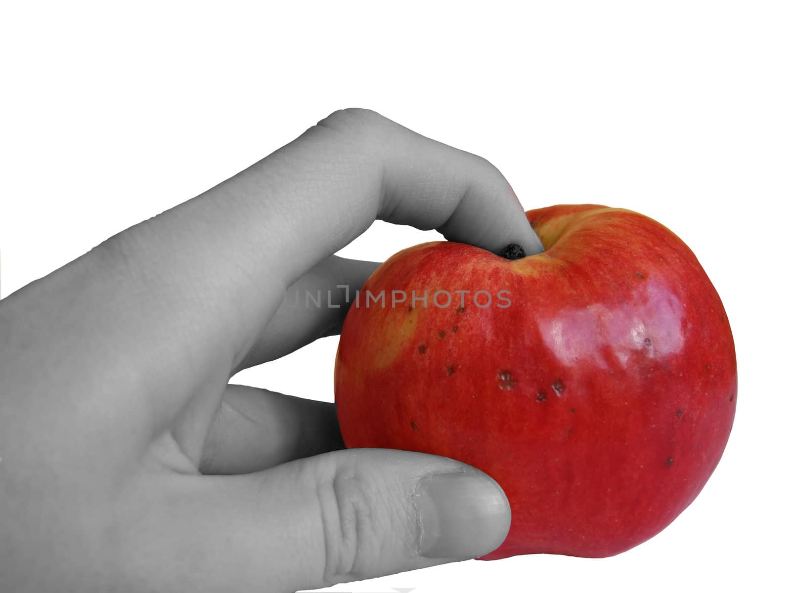 apple and men's hand