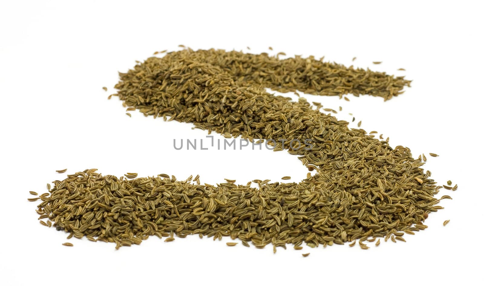 Caraway seeds in S-shape by ursolv