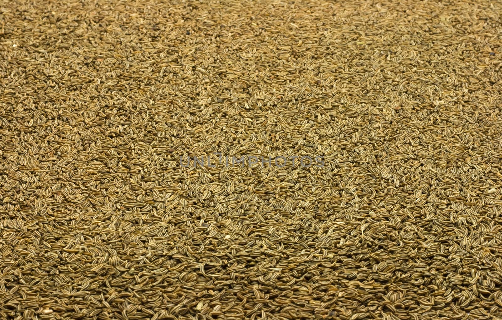 Caraway seeds pattern background