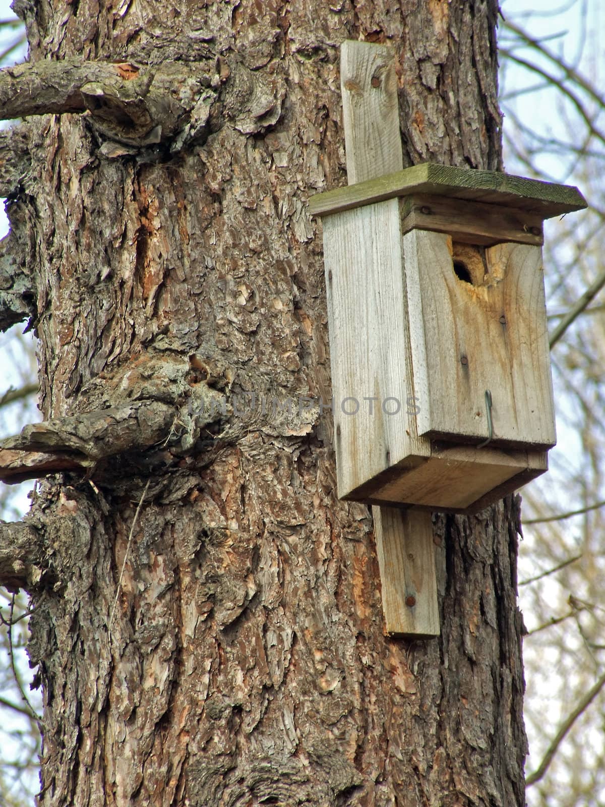 birdhouse on a tree