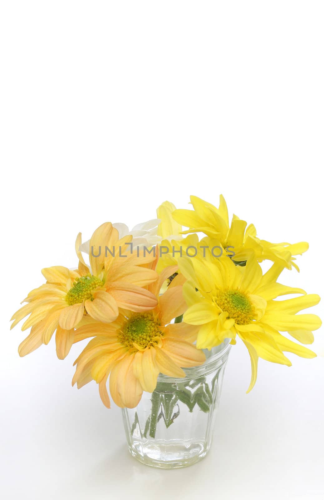 Group of flowers in a glass vase. Yellow, white and orange daisies. Useful as element design