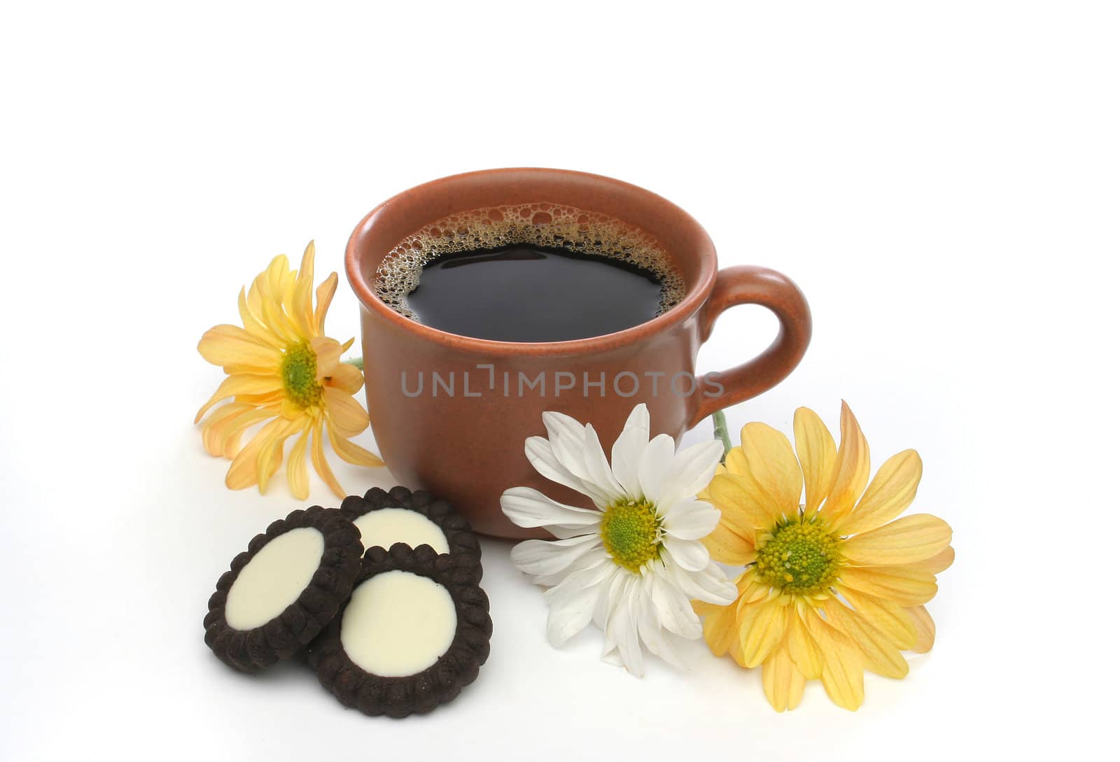 A beautiful coffee breakfast with cookies and flowers.  Look at my gallery for more delicious meals