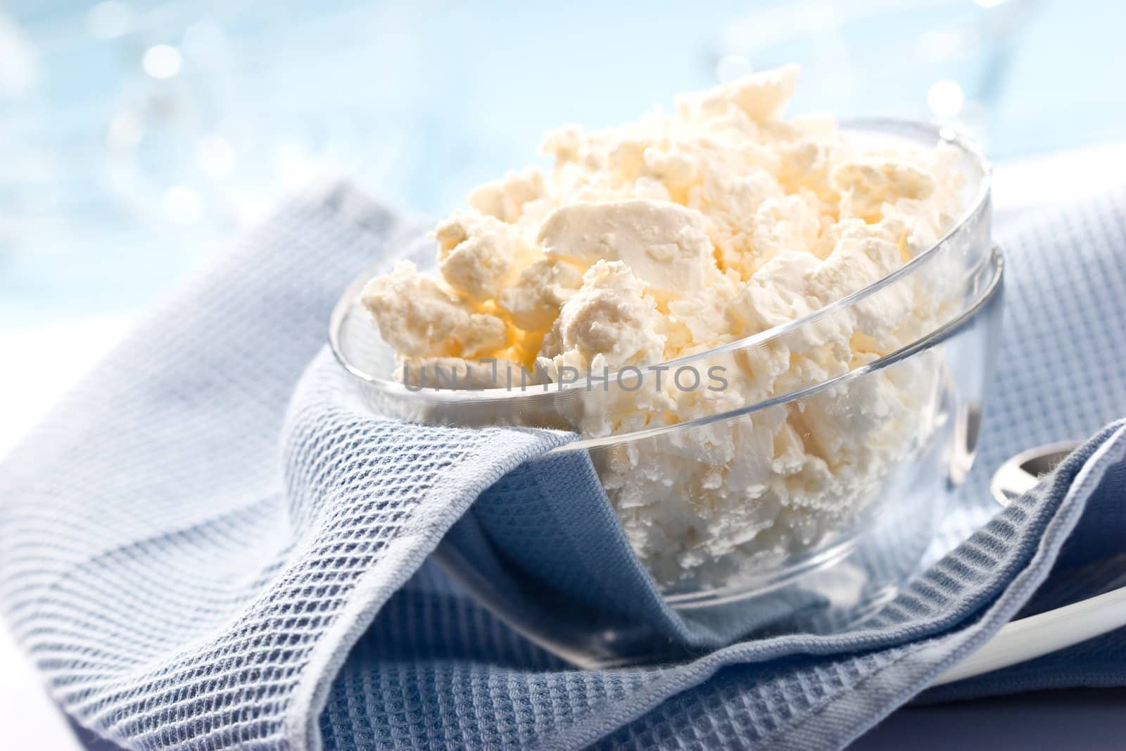 Food serias. Glass bowl with soft cheese