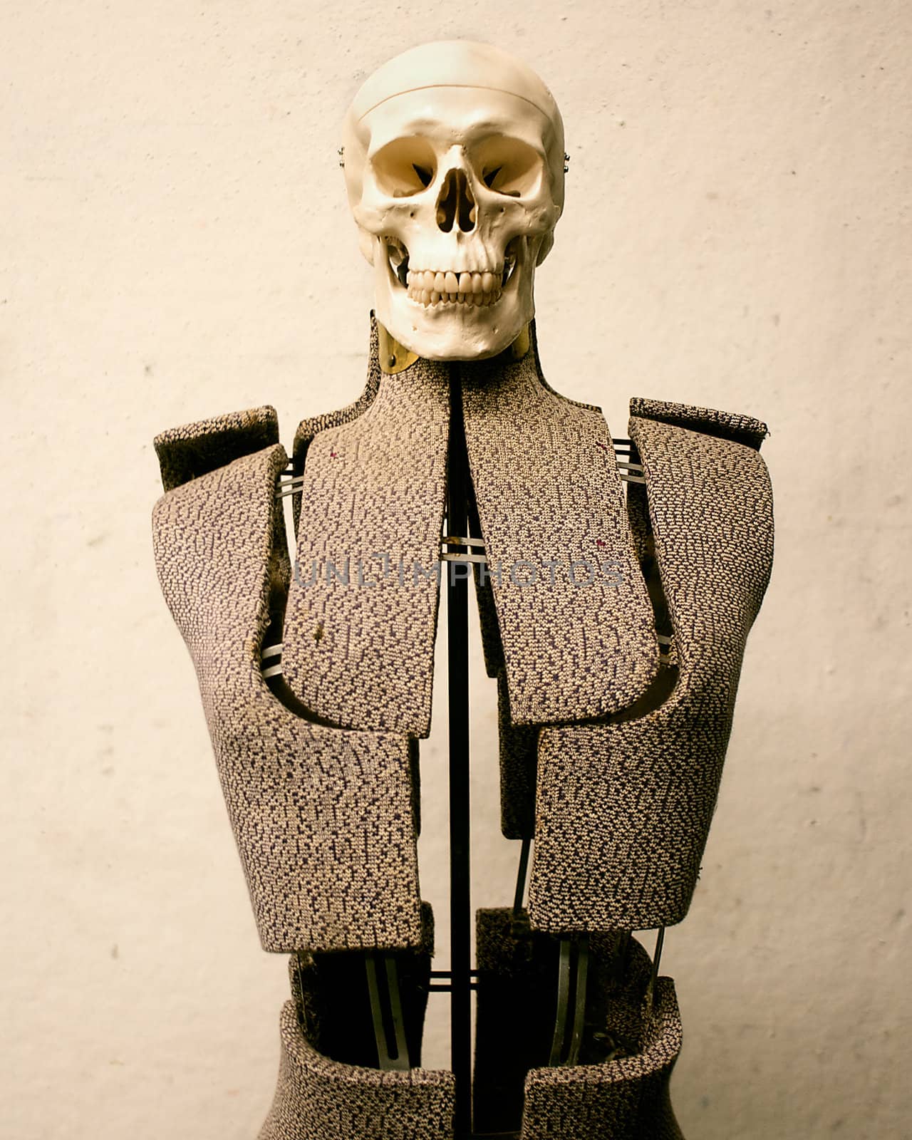 A skeleton's head on a dress form.
