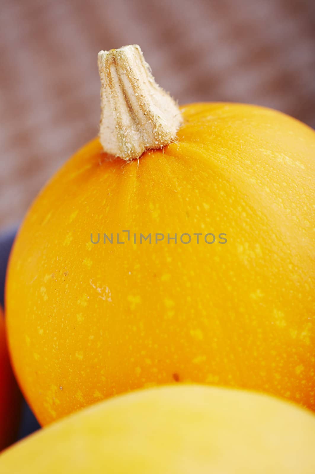 Few yellow pumpkins on the kitchen table