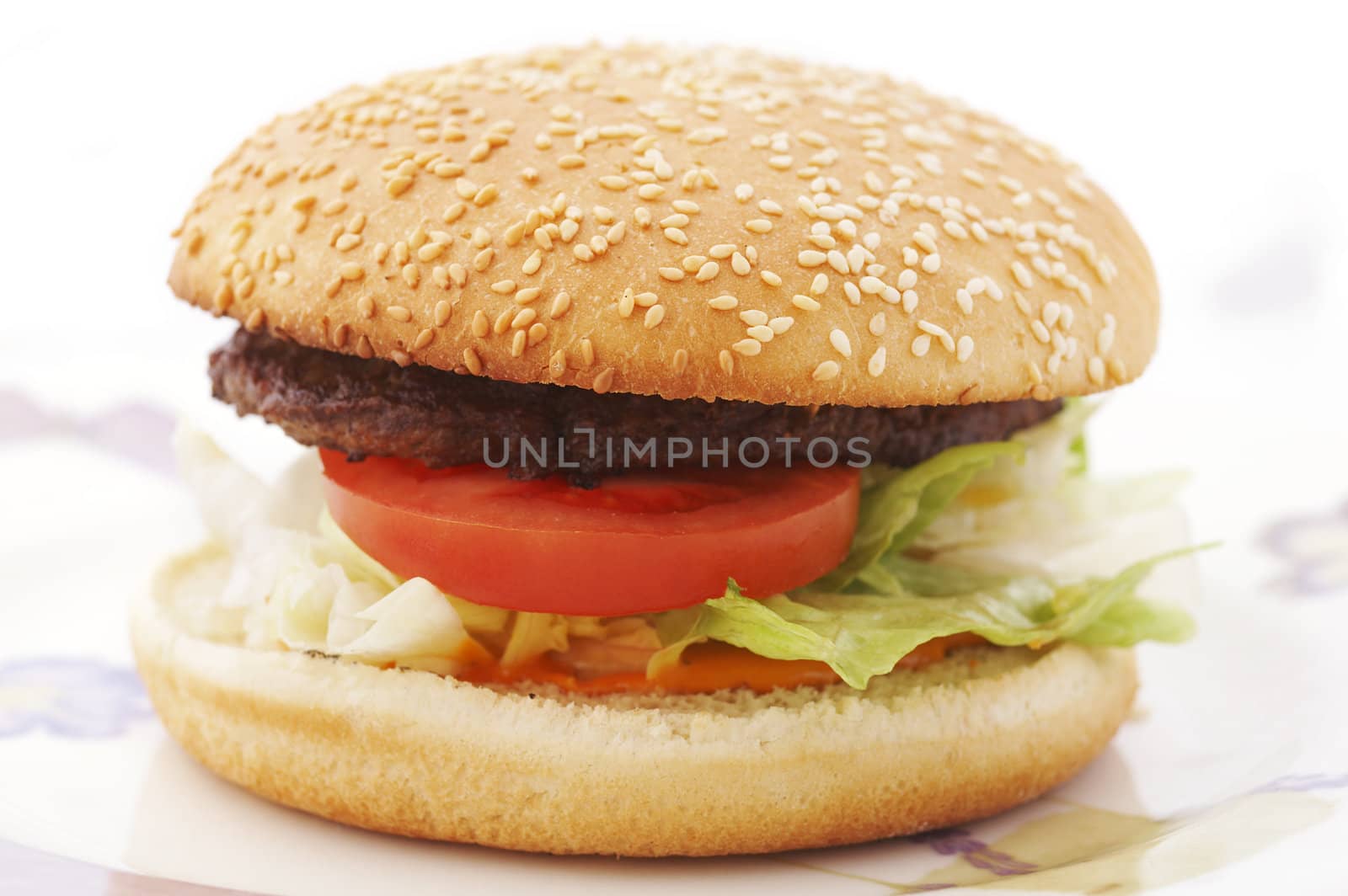 Hamburger with tomato and lettuce on the plate