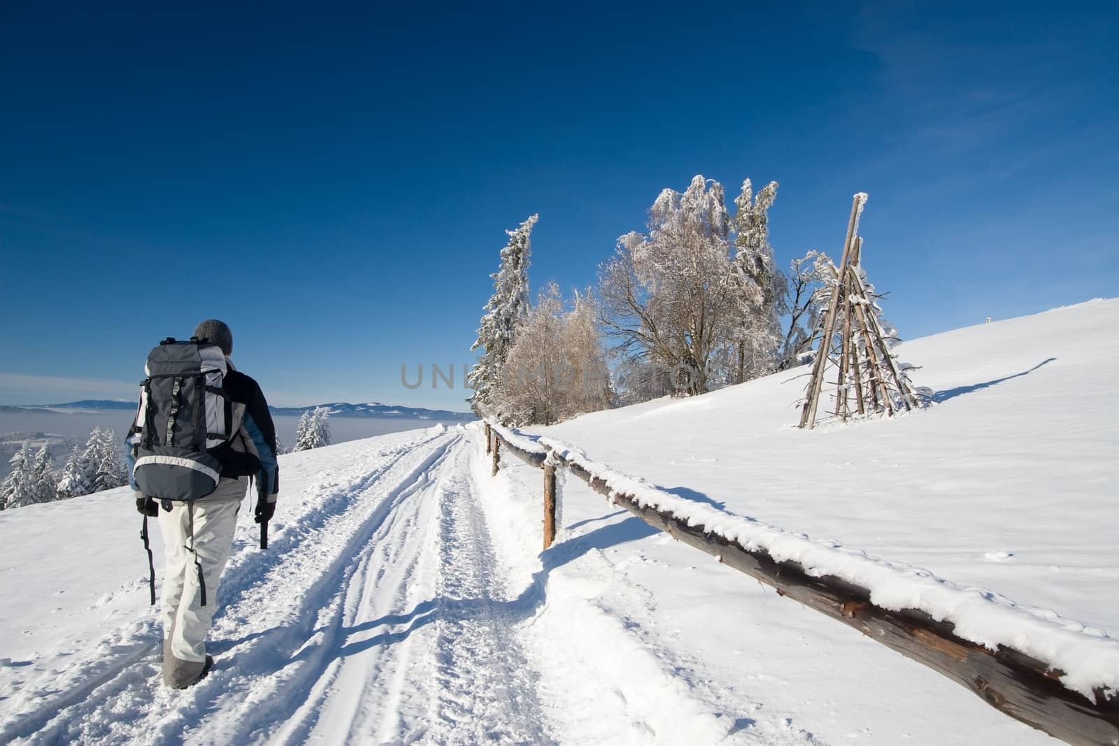 Winter trekking in rural scenery during beautiful day